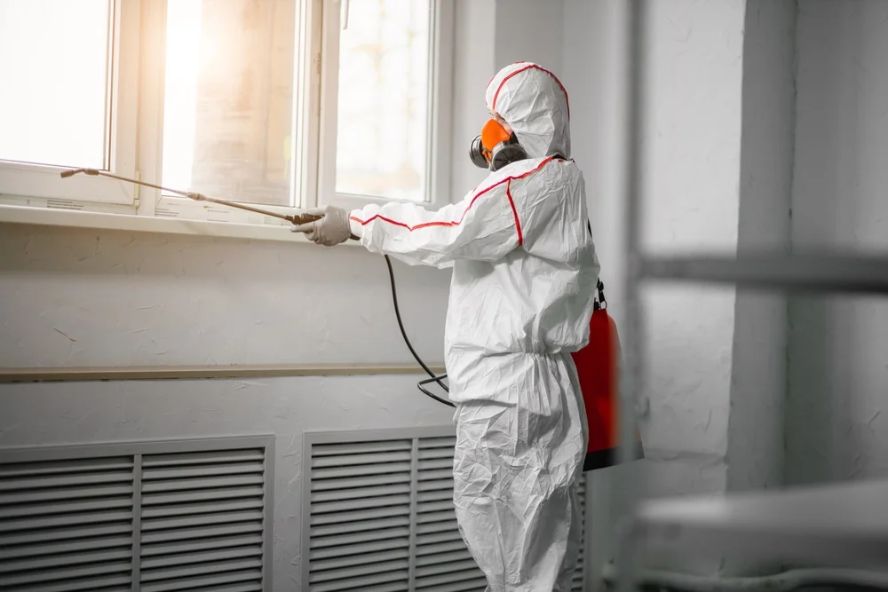 Professional mold remediation services in Papaaloa, HI